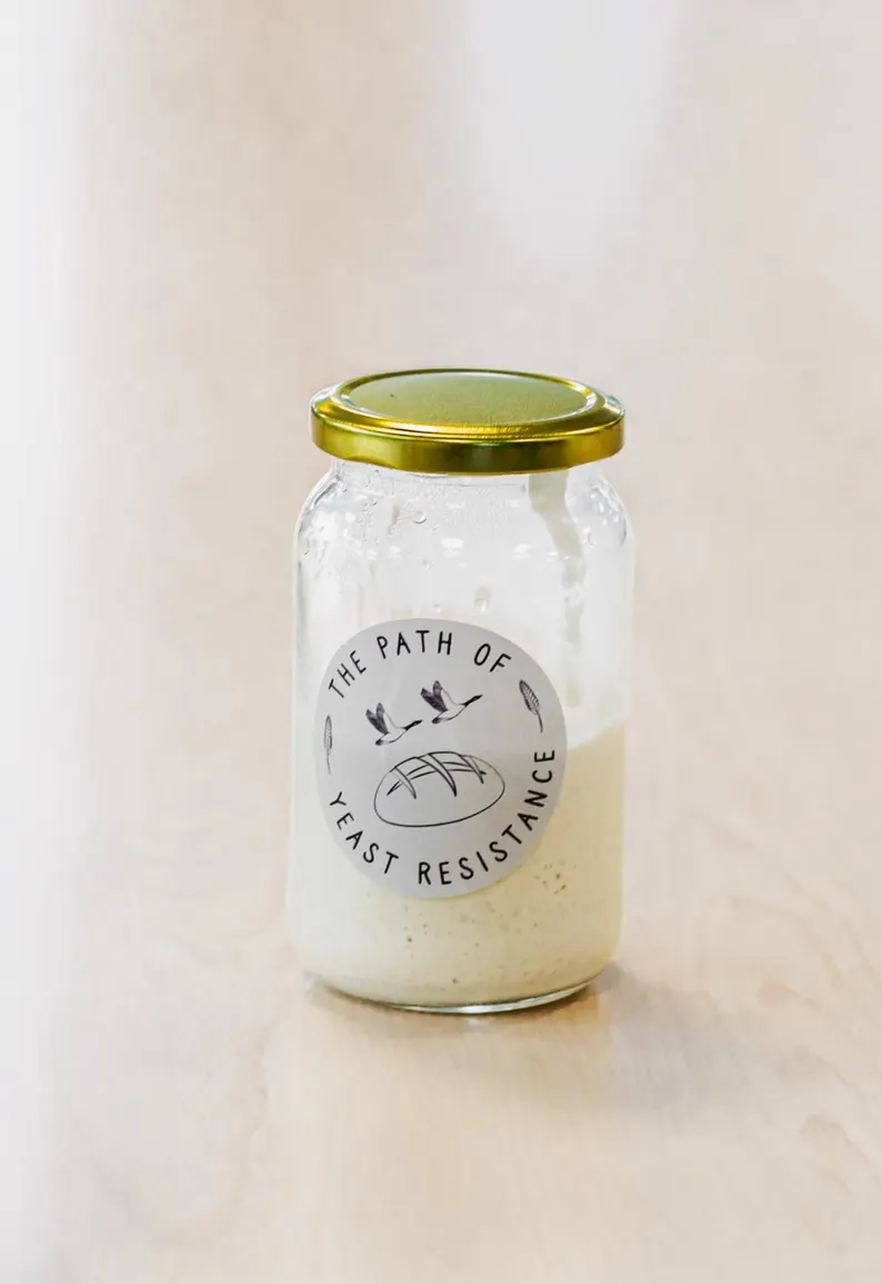 over century old organic sourdough starter live culture over century old organic sourdough starter live culture
