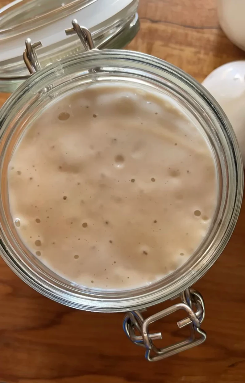 over century old organic sourdough starter live culture over century old organic sourdough starter live culture