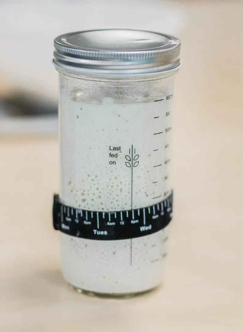 over century old organic sourdough starter live culture over century old organic sourdough starter live culture